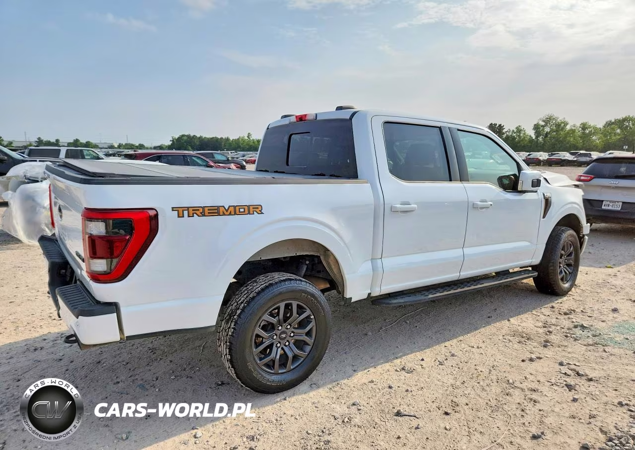 2022 Ford F150 Supercrew VIN:1FTEW1E80NFB31331 - 4