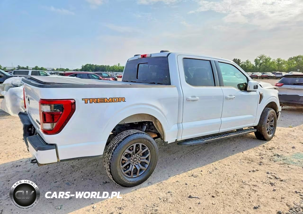 2022 Ford F150 Supercrew VIN:1FTEW1E80NFB31331 - 5