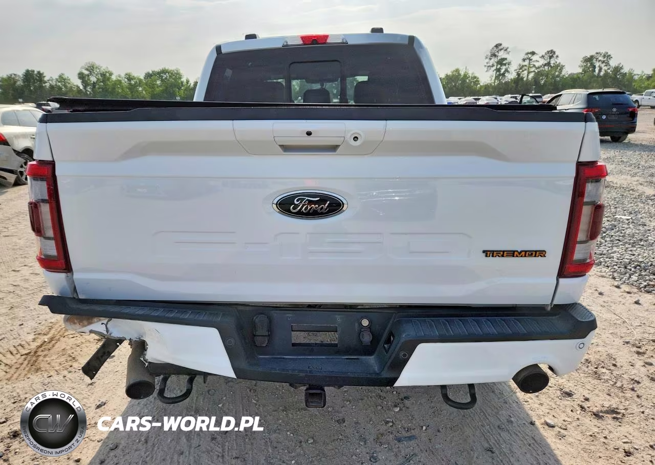 2022 Ford F150 Supercrew VIN:1FTEW1E80NFB31331 - 8