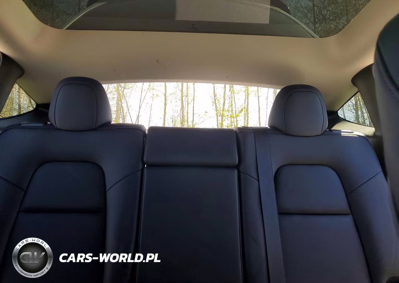 2024 Tesla Model Y VIN:7SAYGDEE4RF126583 - 10