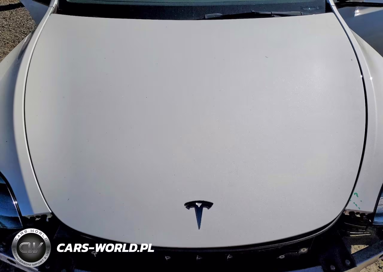 2024 Tesla Model Y VIN:7SAYGDEE4RF126583 - 12