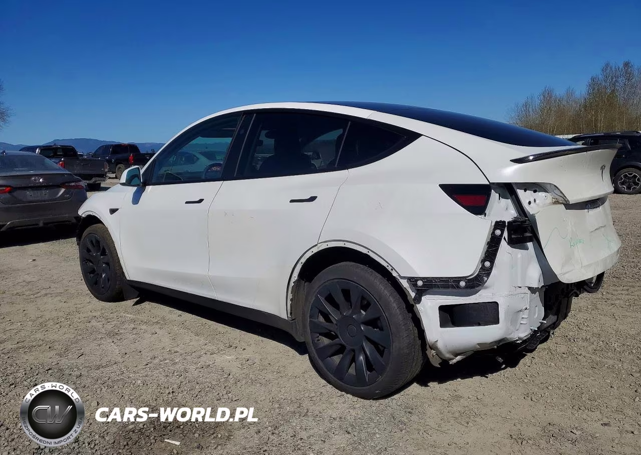 2024 Tesla Model Y VIN:7SAYGDEE4RF126583 - 2