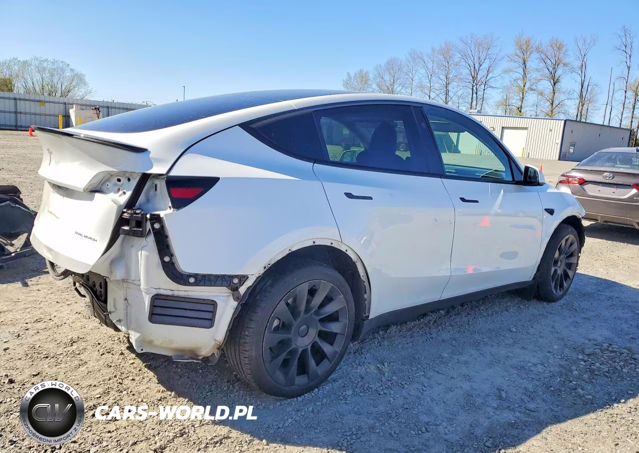 2024 Tesla Model Y VIN:7SAYGDEE4RF126583 - 3