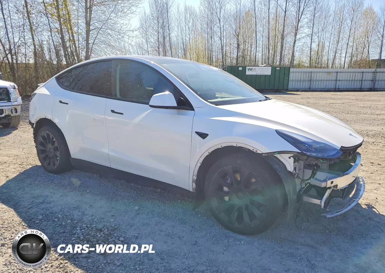 2024 Tesla Model Y VIN:7SAYGDEE4RF126583 - 4