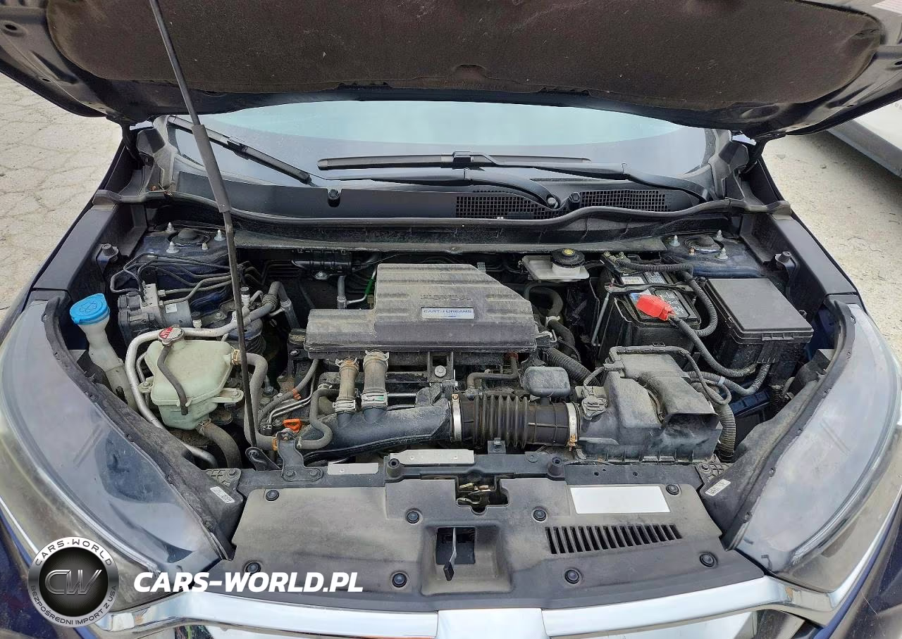2019 Honda Cr-V Exl VIN:5J6RW2H8XKL012731 - 12