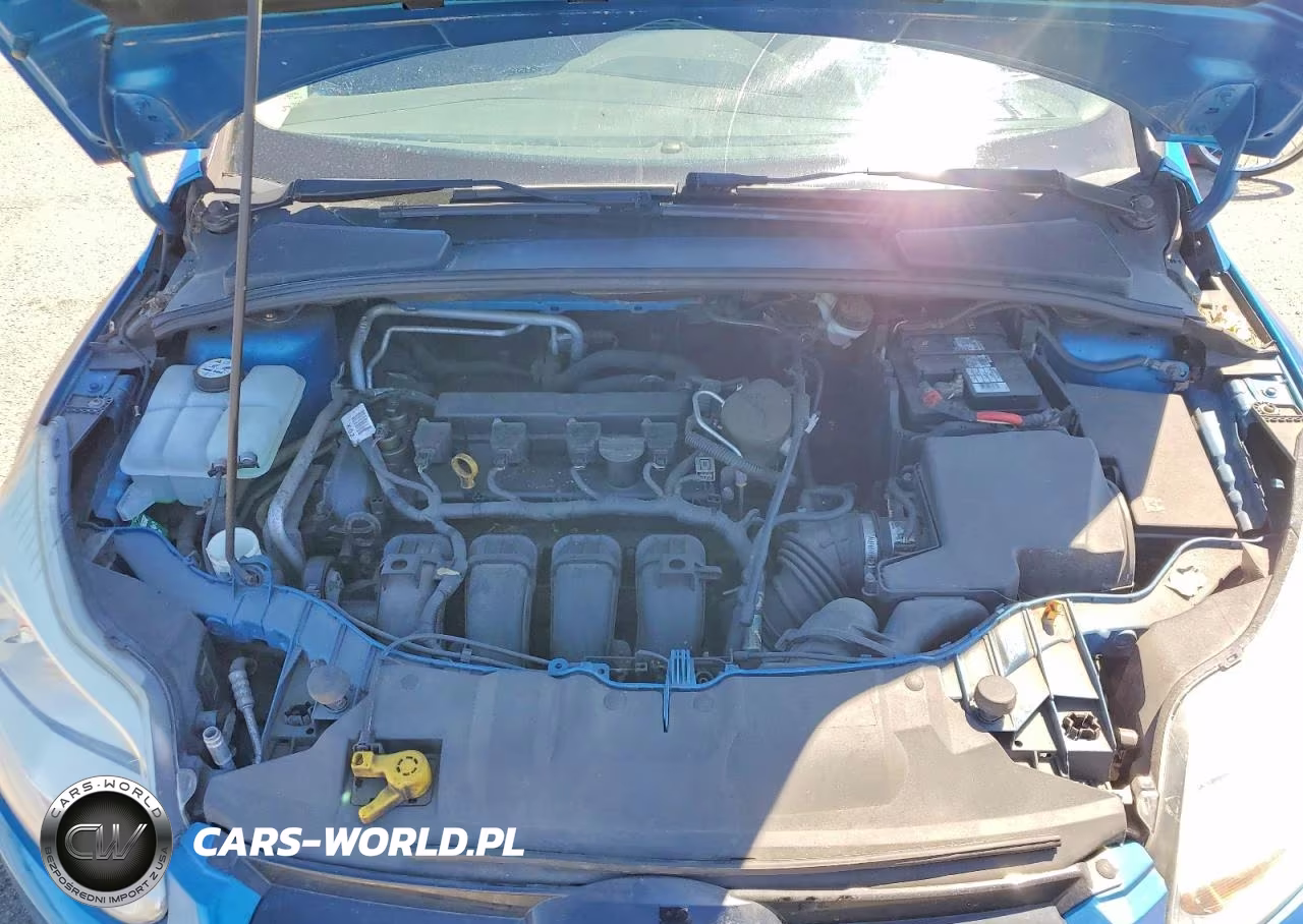 2012 Ford Focus Sel VIN:1FAHP3H2XCL163219 - 11