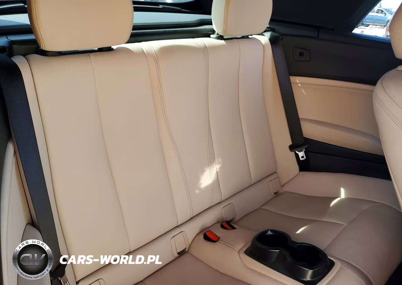 2017 BMW 230I VIN:WBA2K9C34H7A26357 - 10