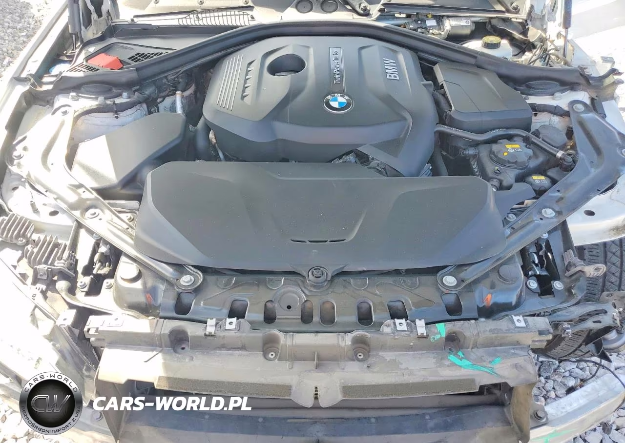 2017 BMW 230I VIN:WBA2K9C34H7A26357 - 11