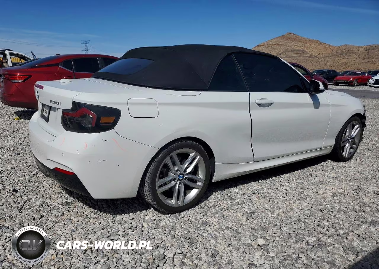 2017 BMW 230I VIN:WBA2K9C34H7A26357 - 3