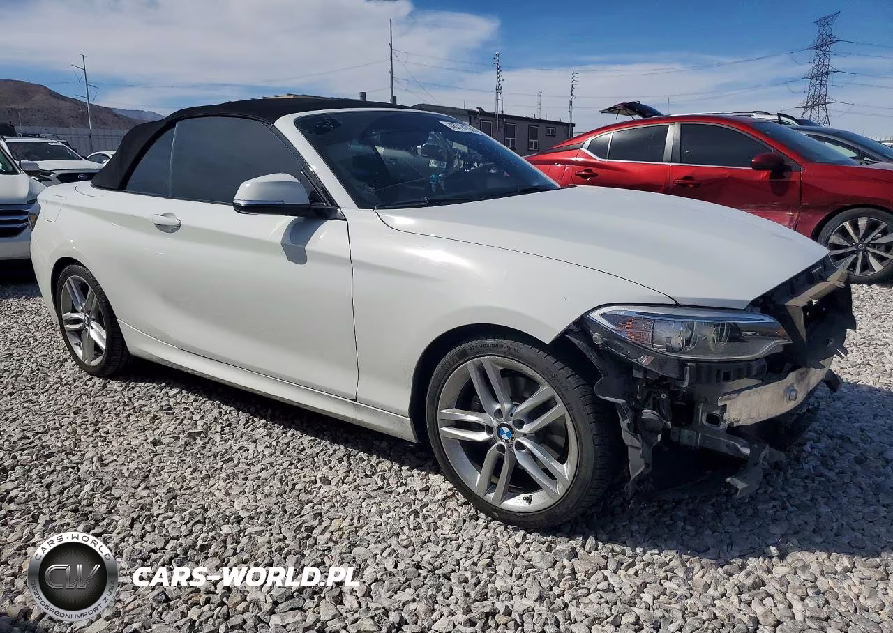2017 BMW 230I VIN:WBA2K9C34H7A26357 - 4