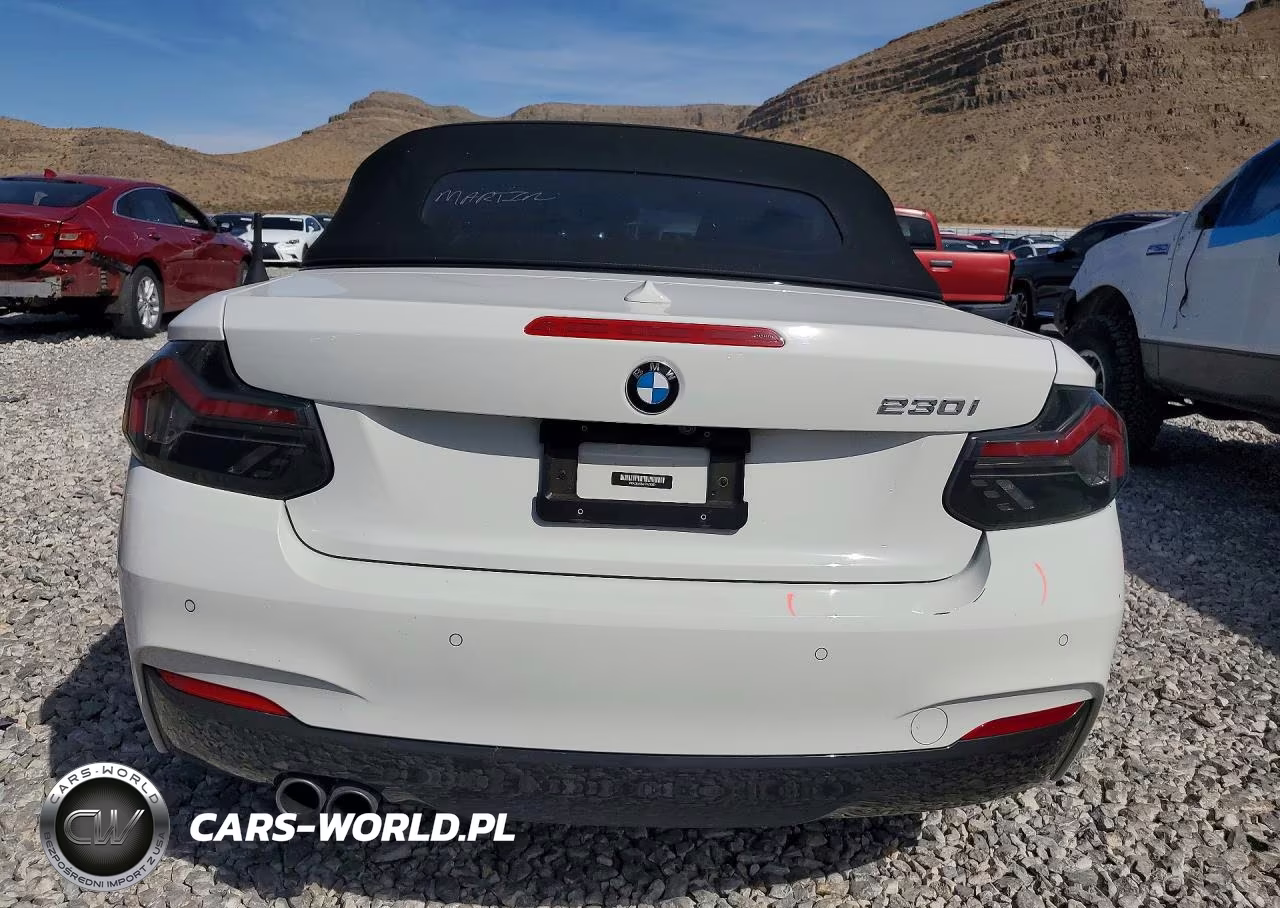 2017 BMW 230I VIN:WBA2K9C34H7A26357 - 6