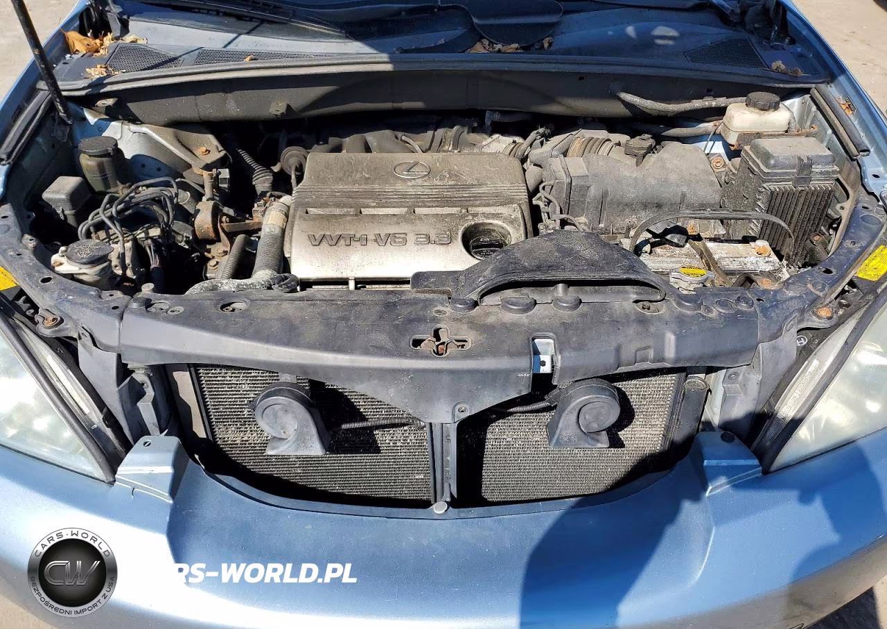 2004 Lexus Rx 330 VIN:2T2HA31U64C037211 - 12