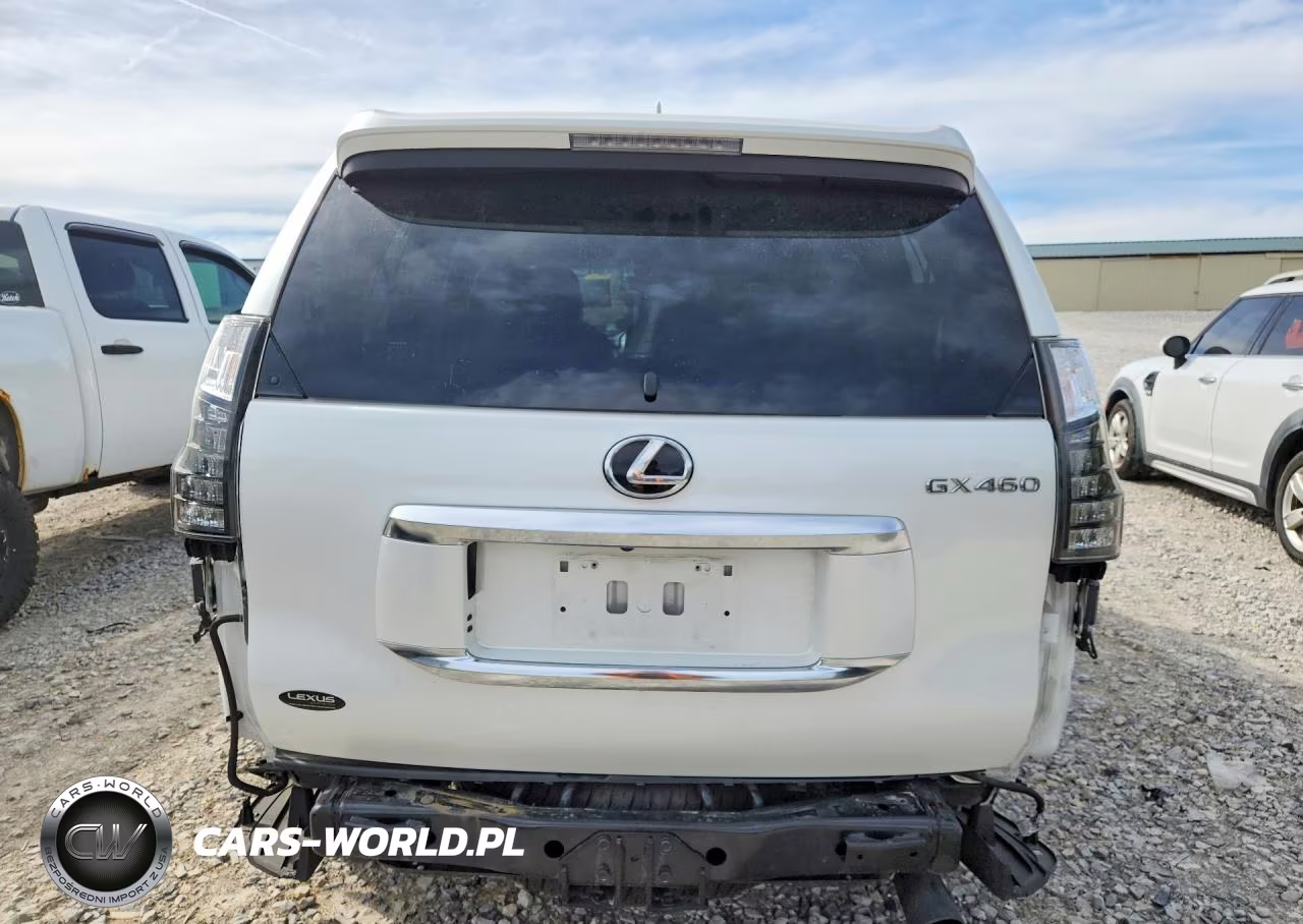 2023 Lexus Gx 460 Luxury VIN:JTJGM7BX8P5368488 - 6