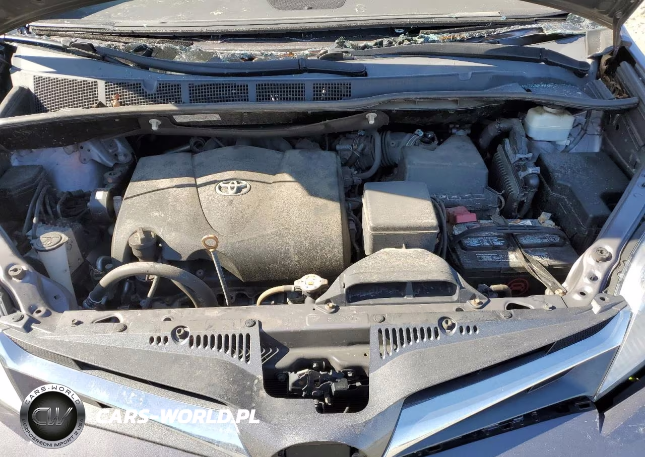 2019 Toyota Sienna Xle VIN:5TDYZ3DC5KS008075 - 12