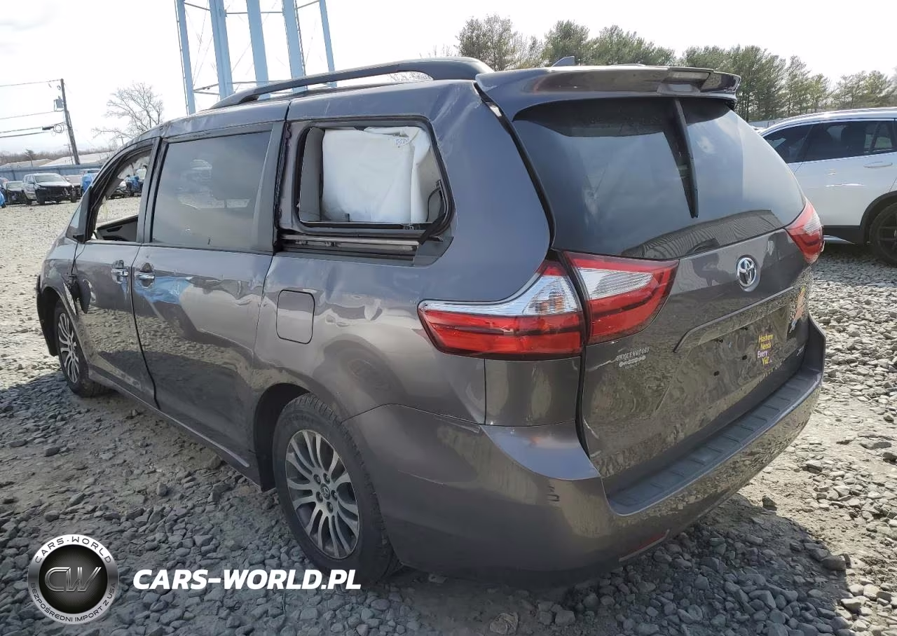 2019 Toyota Sienna Xle VIN:5TDYZ3DC5KS008075 - 2
