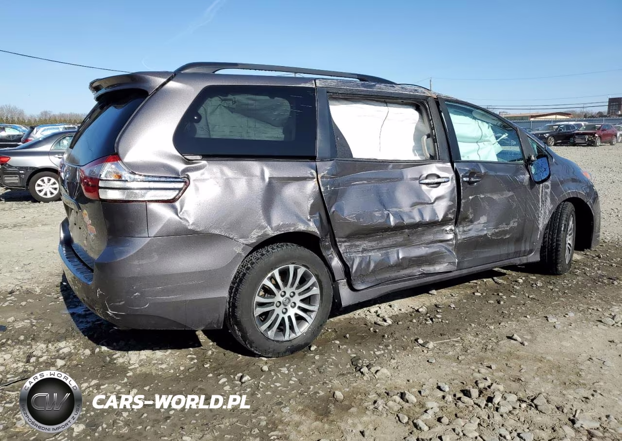 2019 Toyota Sienna Xle VIN:5TDYZ3DC5KS008075 - 3