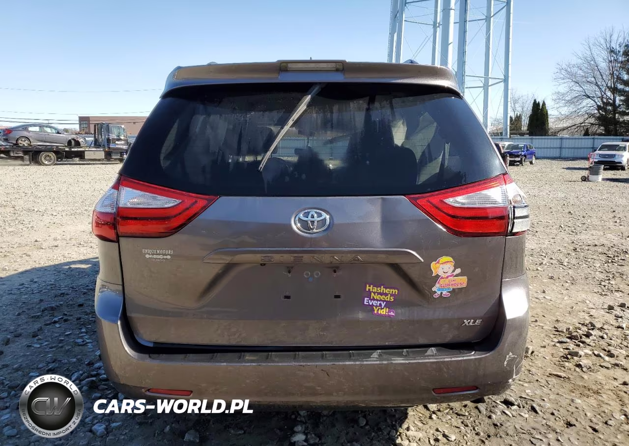 2019 Toyota Sienna Xle VIN:5TDYZ3DC5KS008075 - 6