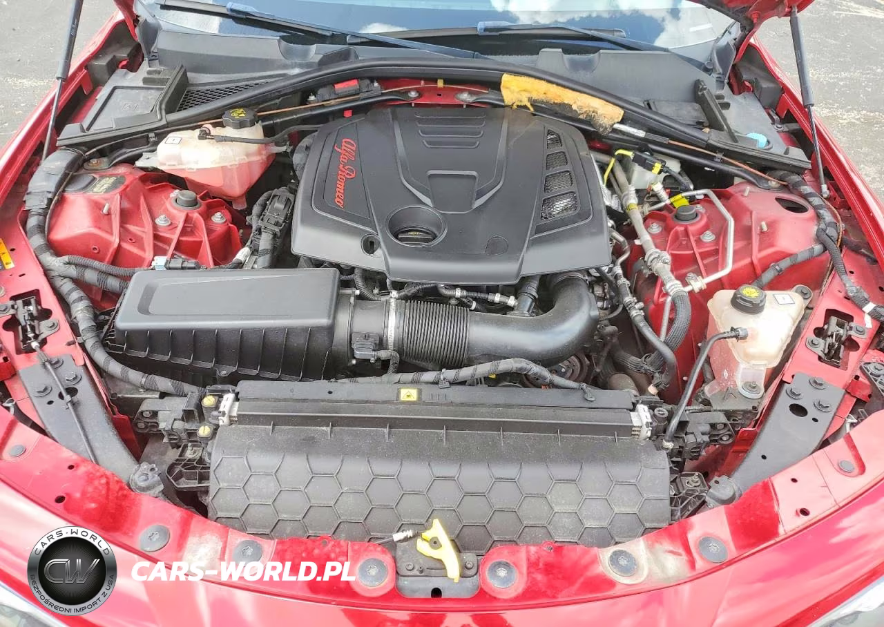 2019 Alfa Romeo Giulia VIN:ZARFAMAN4K7599798 - 11