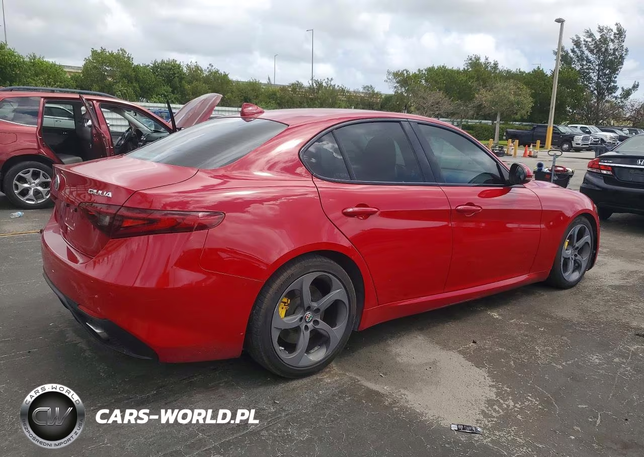 2019 Alfa Romeo Giulia VIN:ZARFAMAN4K7599798 - 3