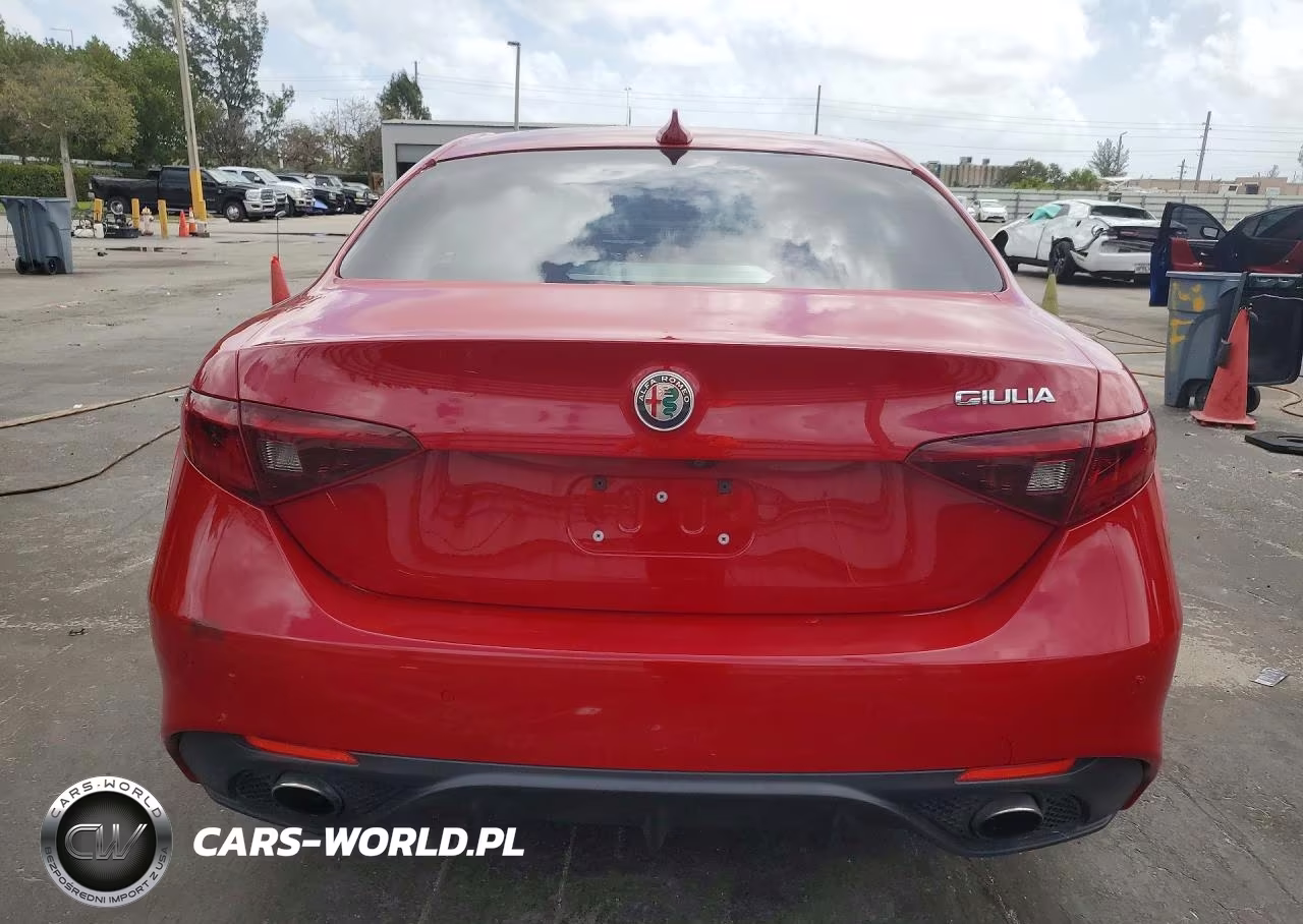 2019 Alfa Romeo Giulia VIN:ZARFAMAN4K7599798 - 6