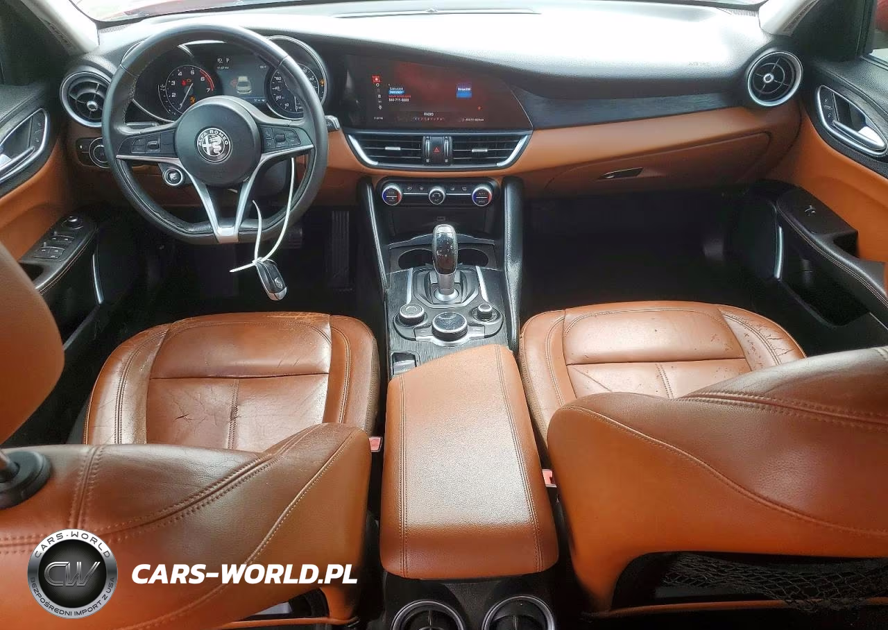 2019 Alfa Romeo Giulia VIN:ZARFAMAN4K7599798 - 8