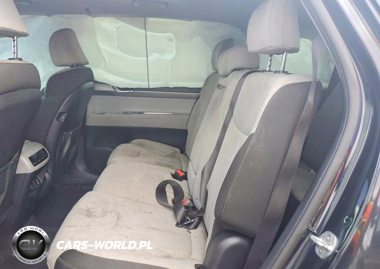2020 Hyundai Palisade Sel VIN:KM8R34HE0LU154870 - 10