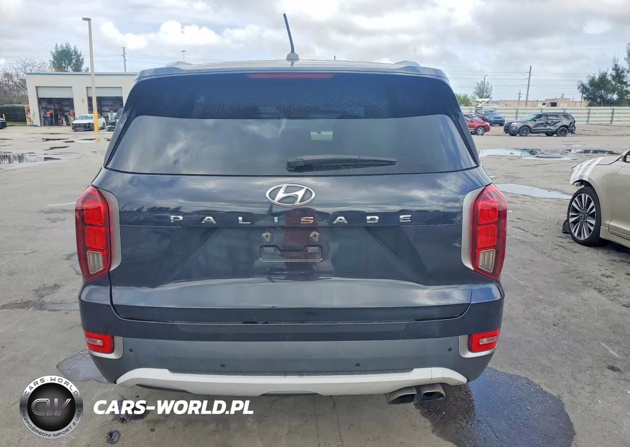 2020 Hyundai Palisade Sel VIN:KM8R34HE0LU154870 - 6