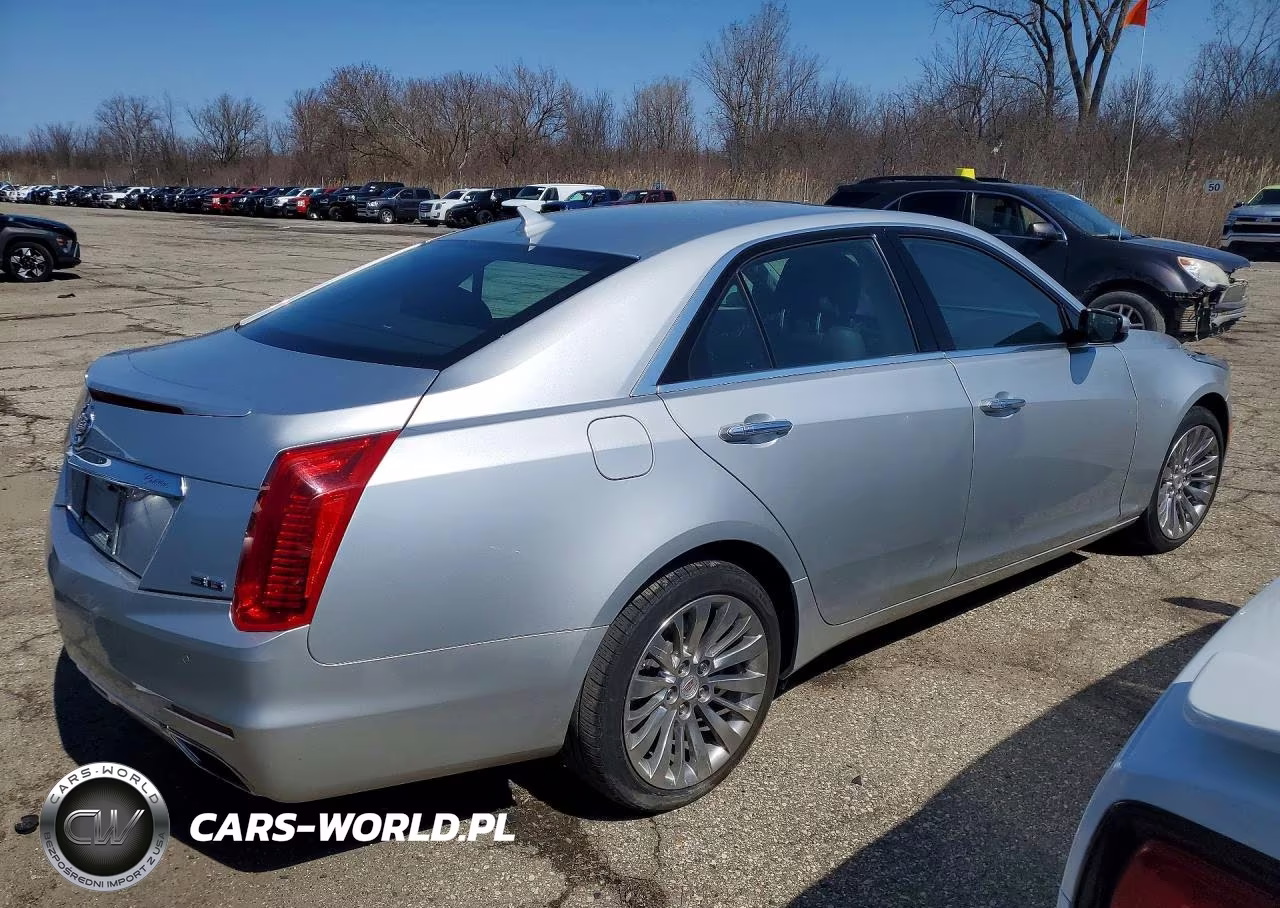 2014 Cadillac Cts Luxury Collection VIN:1G6AX5S35E0161684 - 3