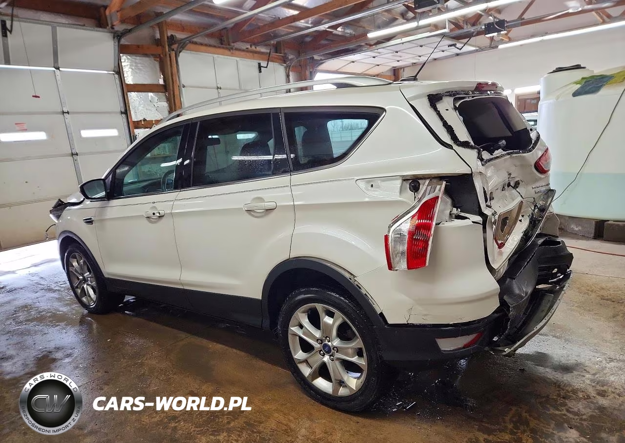 2014 Ford Escape Titanium VIN:1FMCU0J95EUB07197 - 2