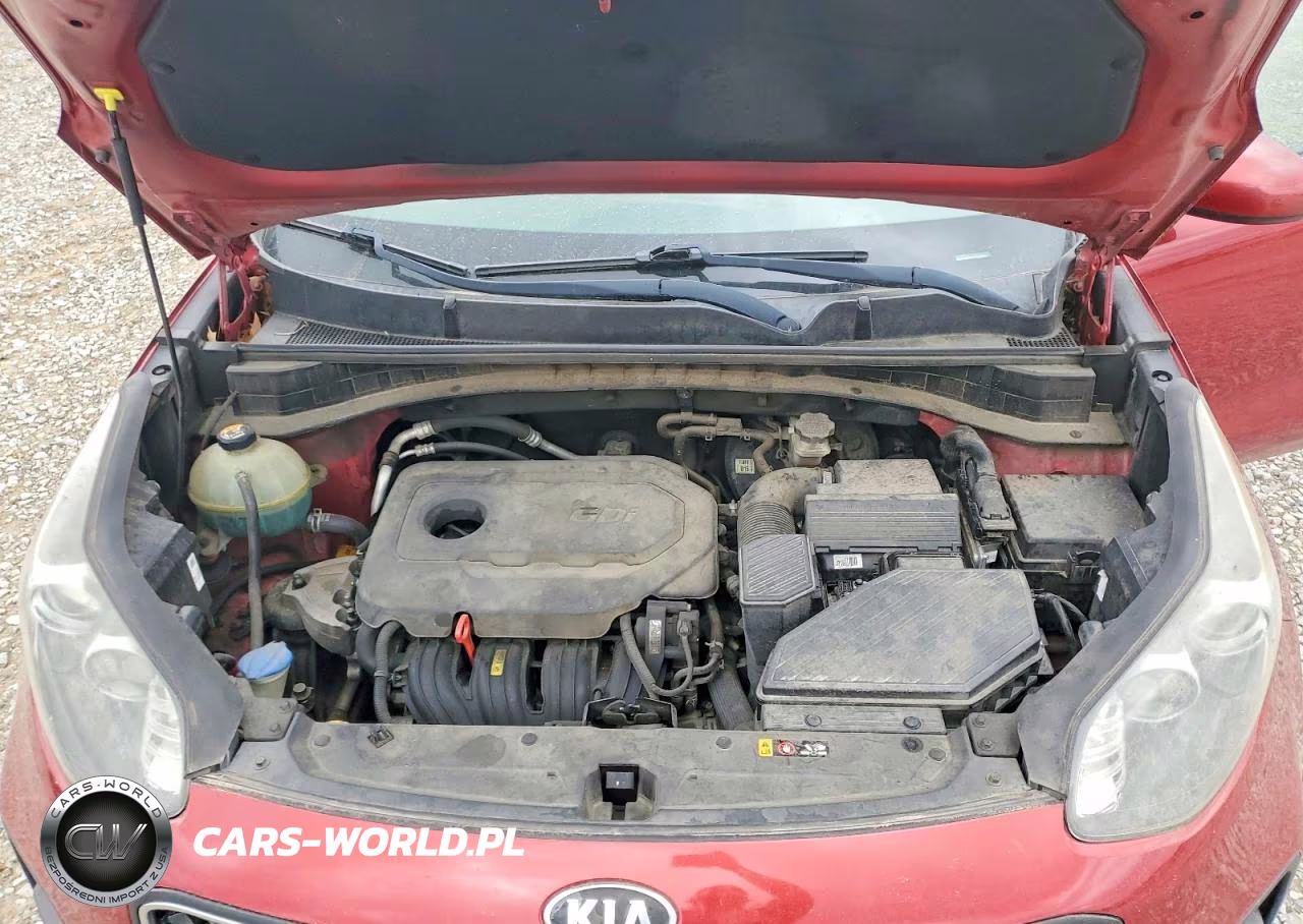 2018 Kia Sportage Lx VIN:KNDPM3AC5J7474466 - 12