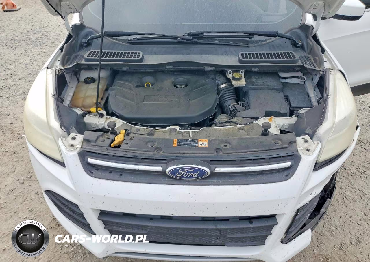 2014 Ford Escape Se VIN:1FMCU9G96EUD06156 - 12