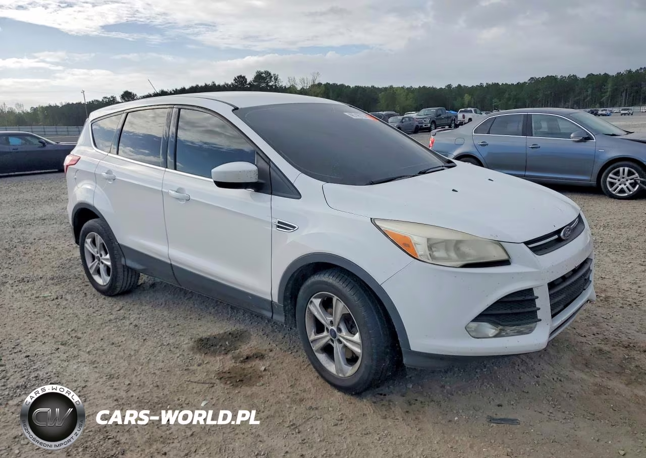 2014 Ford Escape Se VIN:1FMCU9G96EUD06156 - 4