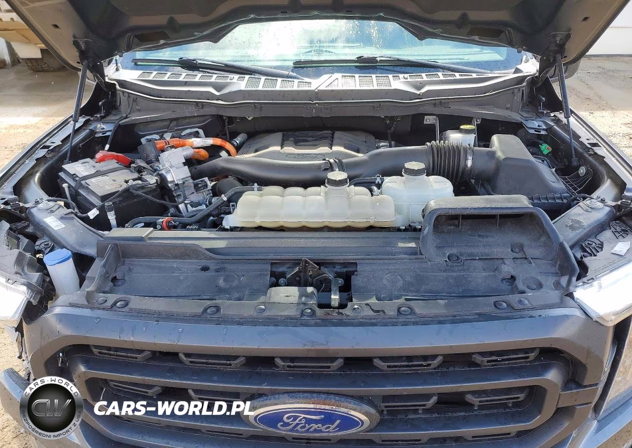 2023 Ford F150 Supercrew VIN:1FTFW1ED0PFC75451 - 11