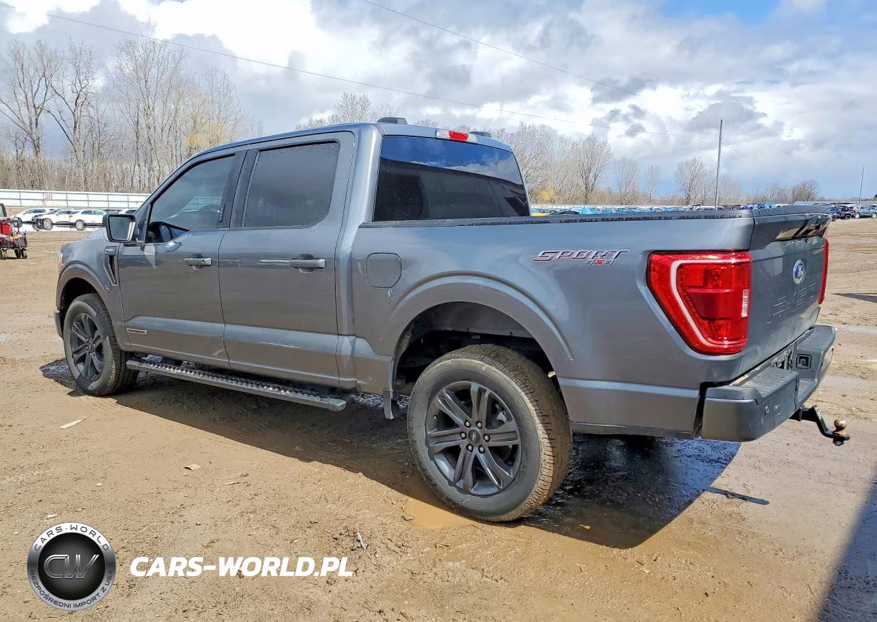 2023 Ford F150 Supercrew VIN:1FTFW1ED0PFC75451 - 2