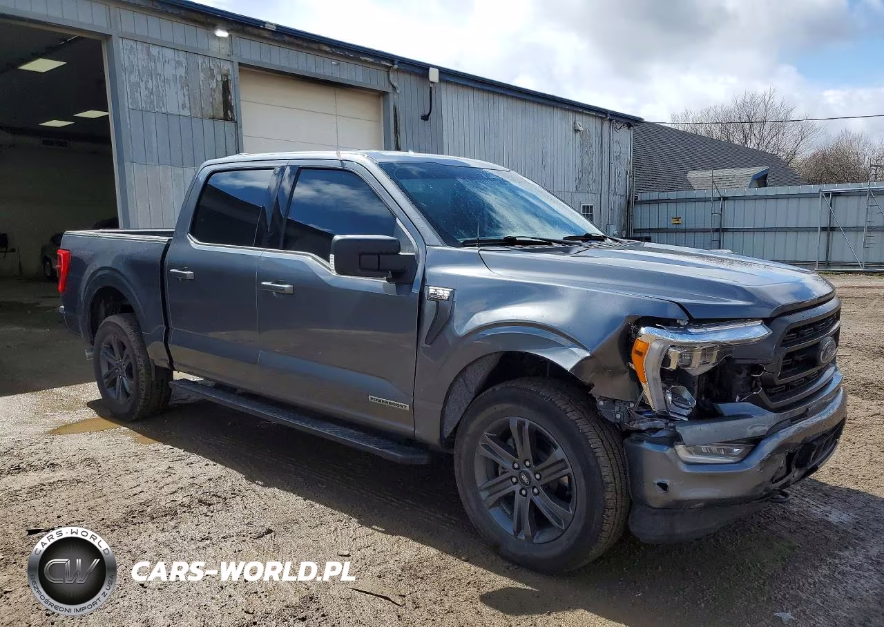 2023 Ford F150 Supercrew VIN:1FTFW1ED0PFC75451 - 4