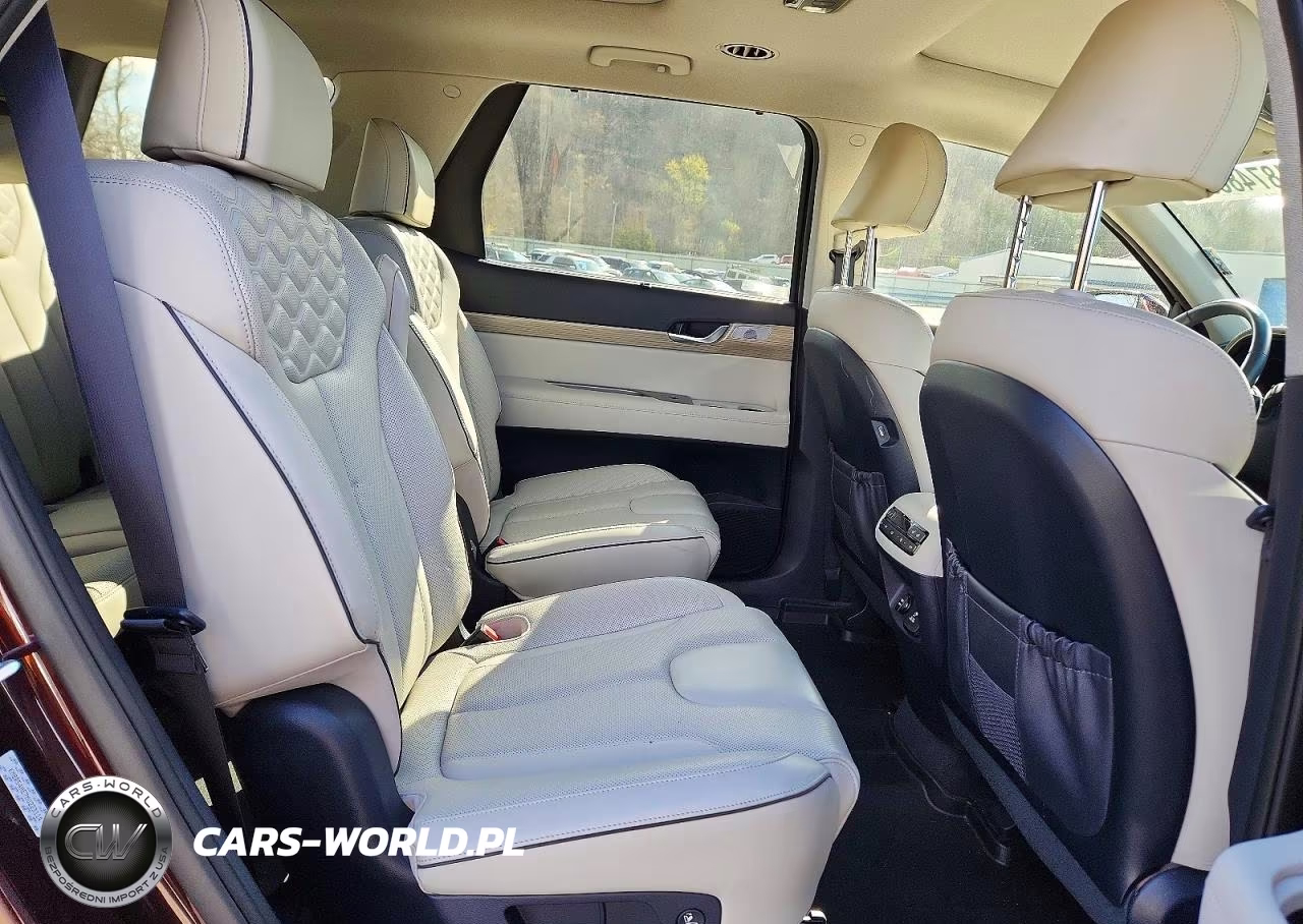 2021 Hyundai Palisade Limited VIN:KM8R54HE7MU223114 - 11