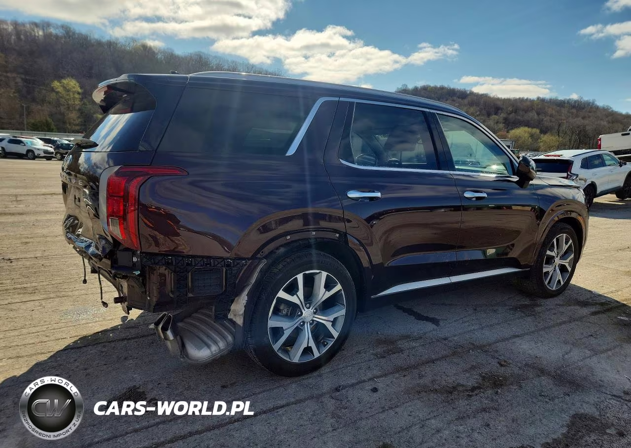 2021 Hyundai Palisade Limited VIN:KM8R54HE7MU223114 - 3