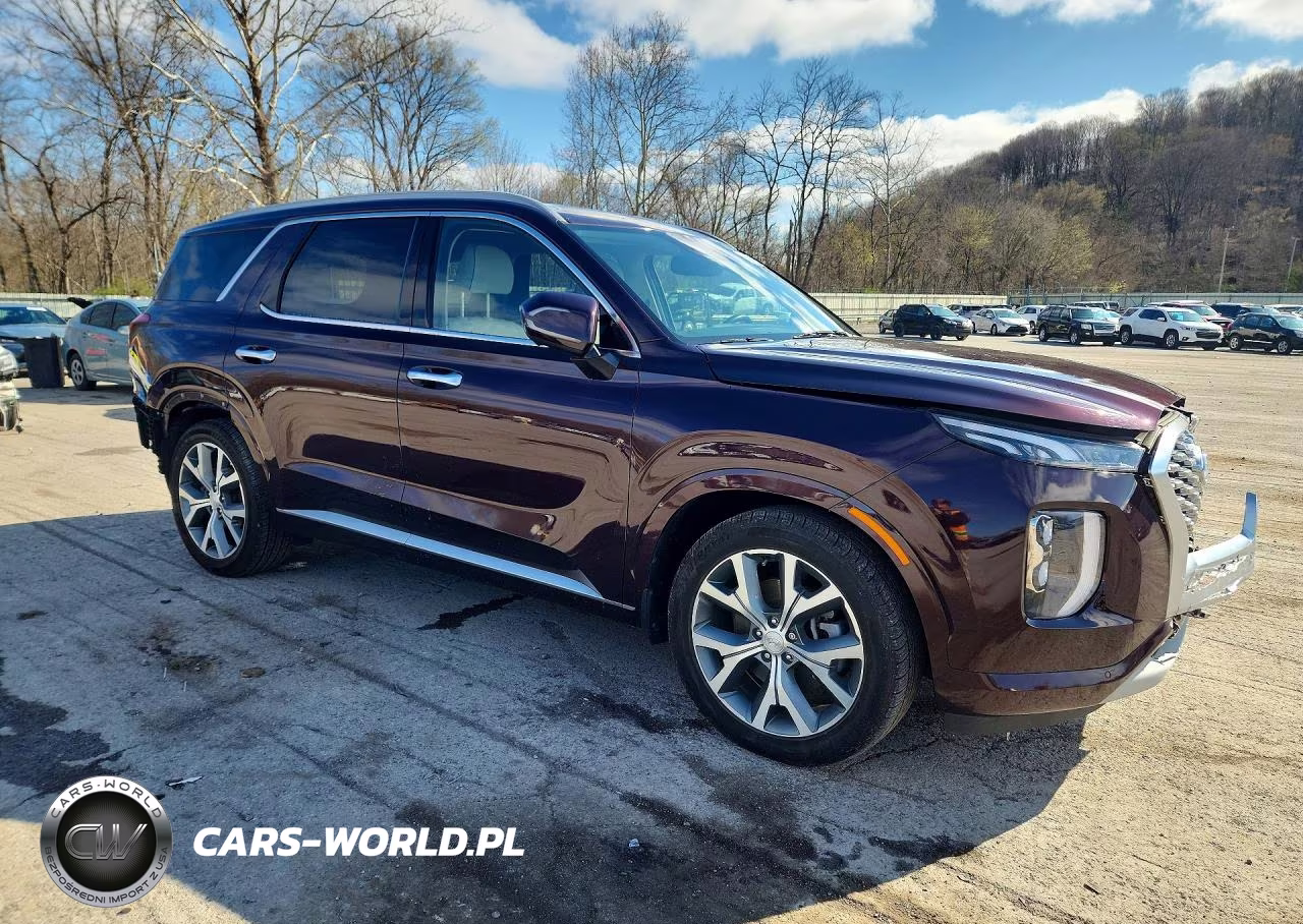 2021 Hyundai Palisade Limited VIN:KM8R54HE7MU223114 - 4
