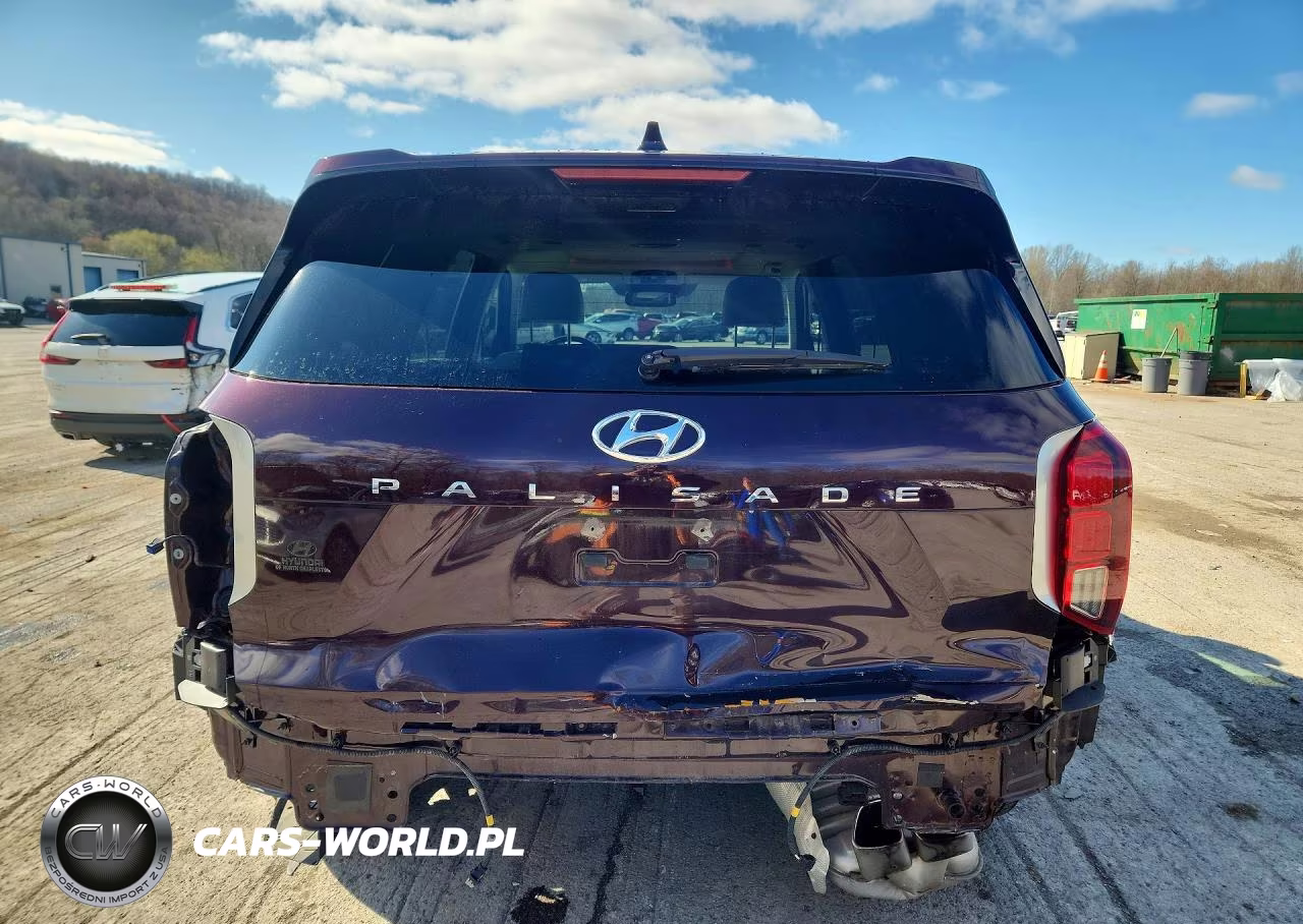 2021 Hyundai Palisade Limited VIN:KM8R54HE7MU223114 - 6