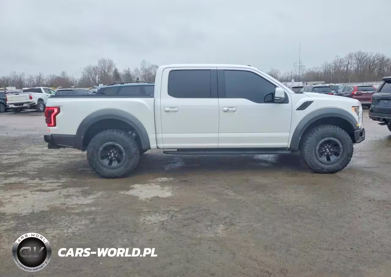 2018 Ford F150 Raptor VIN:1FTFW1RG9JFB23051 - 12