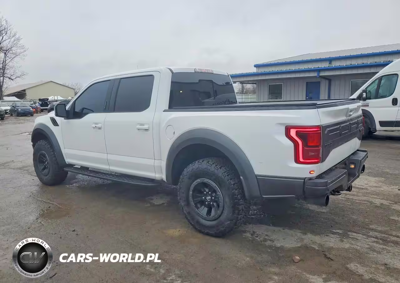 2018 Ford F150 Raptor VIN:1FTFW1RG9JFB23051 - 2