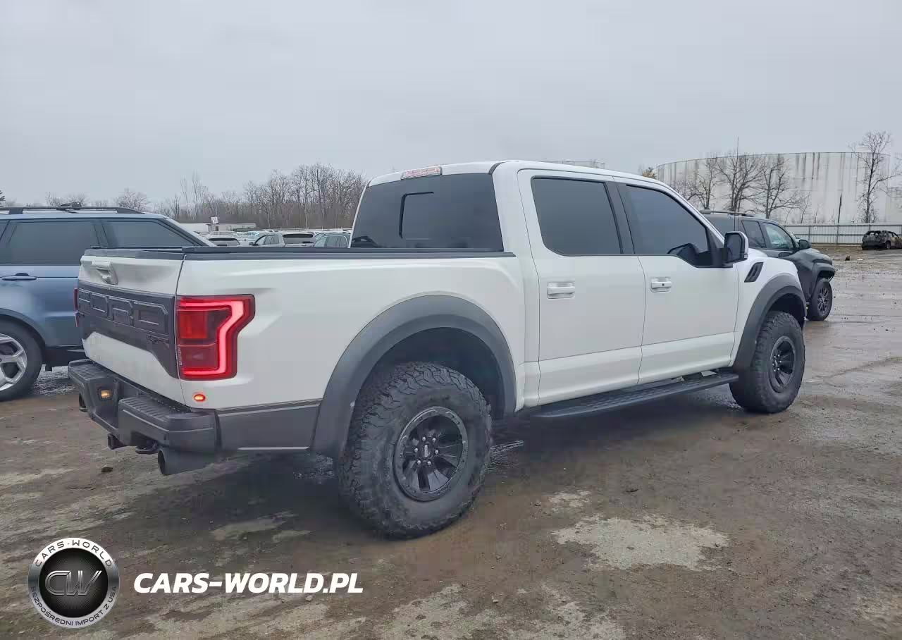 2018 Ford F150 Raptor VIN:1FTFW1RG9JFB23051 - 3