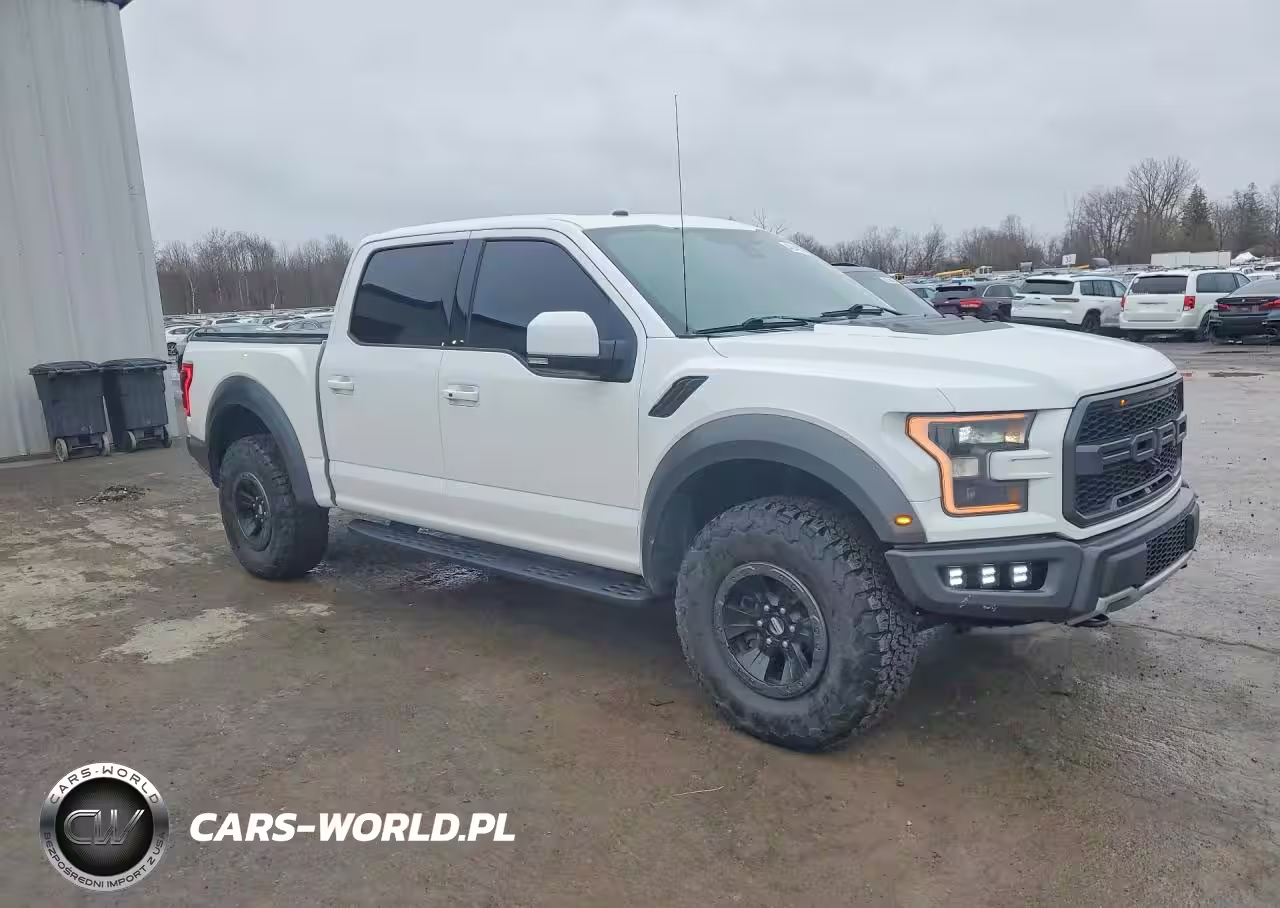 2018 Ford F150 Raptor VIN:1FTFW1RG9JFB23051 - 4