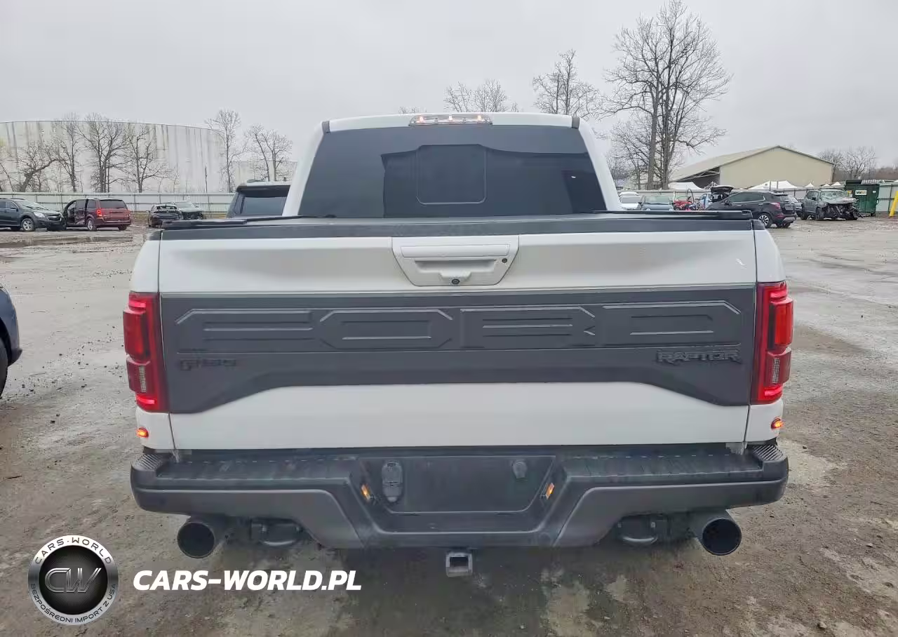 2018 Ford F150 Raptor VIN:1FTFW1RG9JFB23051 - 6