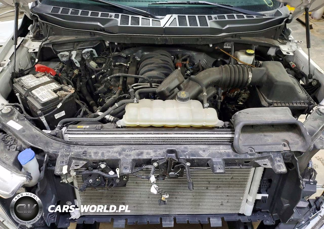 2023 Ford F150 Supercrew VIN:1FTFW1E54PFB91691 - 11