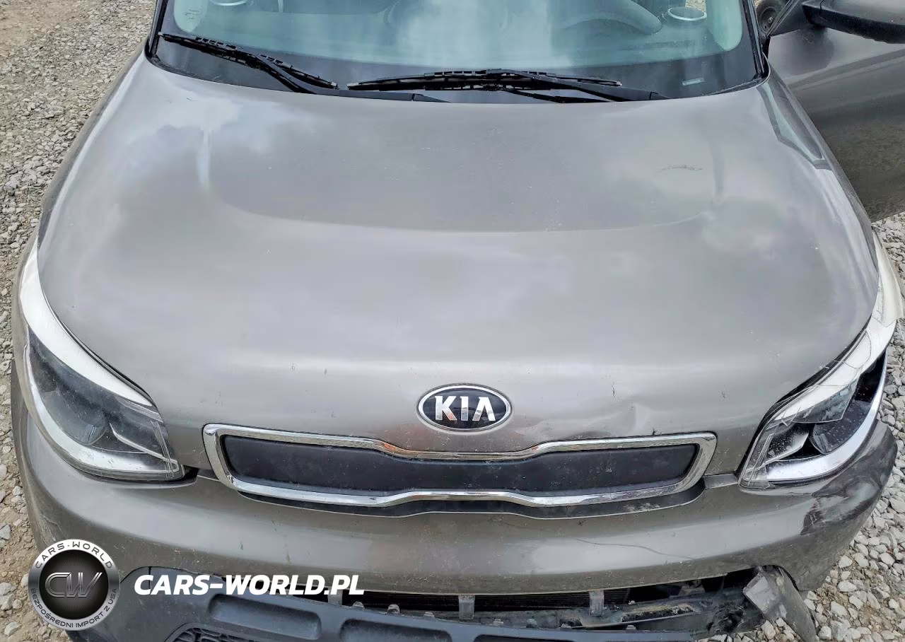 2016 Kia Soul Base VIN:KNDJN2A29G7307718 - 12