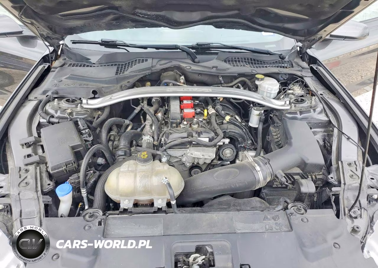 2020 Ford Mustang VIN:1FA6P8TH6L5178711 - 11