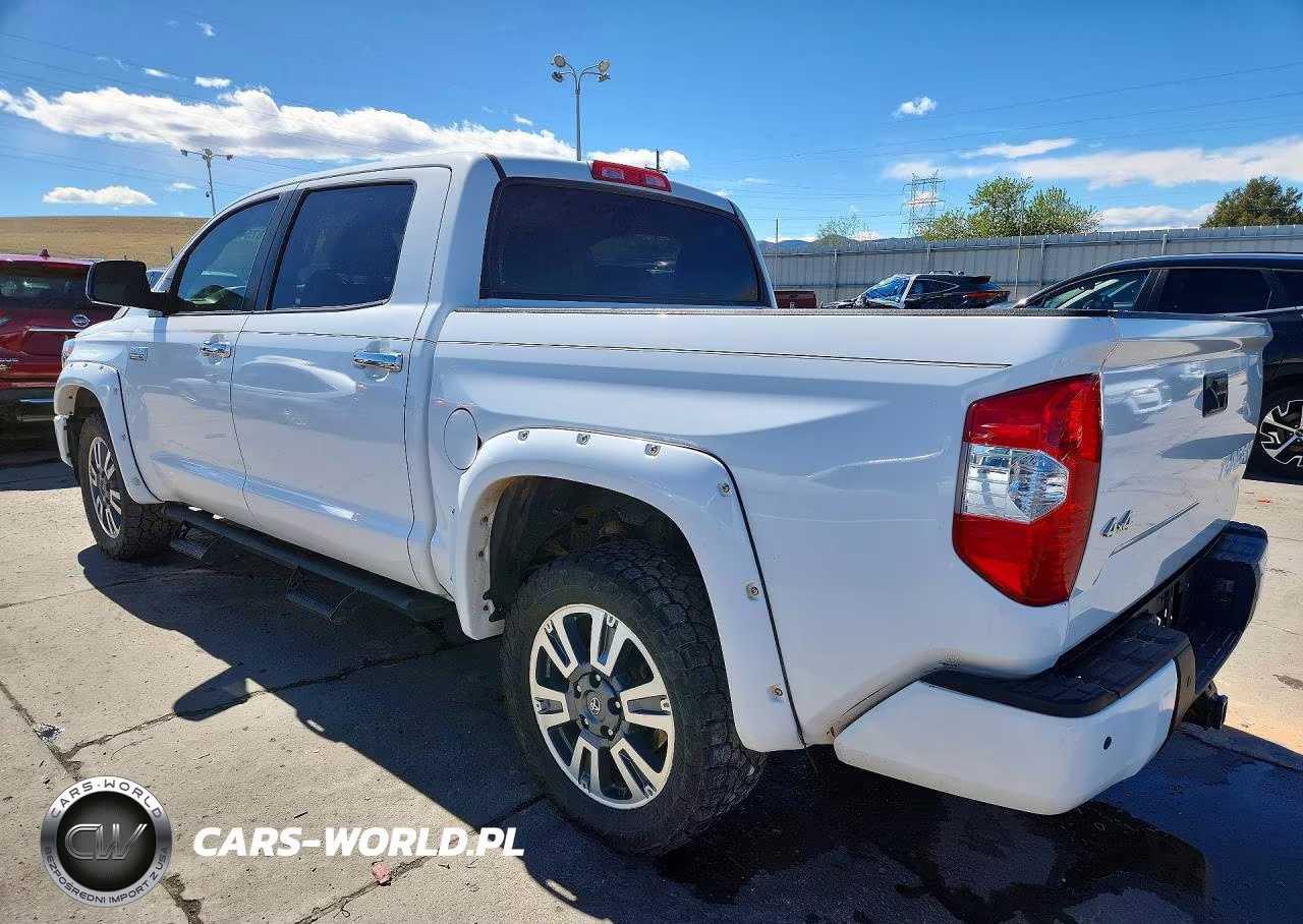 2019 Toyota Tundra Platinum VIN:5TFAY5F17KX811797 - 2