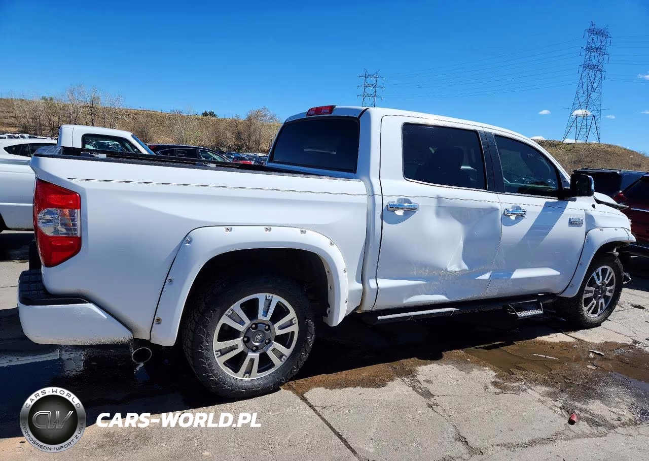 2019 Toyota Tundra Platinum VIN:5TFAY5F17KX811797 - 3