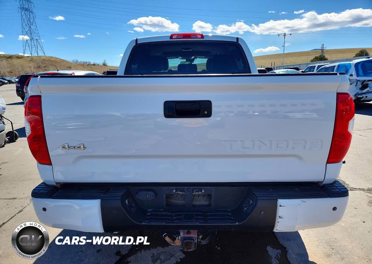2019 Toyota Tundra Platinum VIN:5TFAY5F17KX811797 - 6